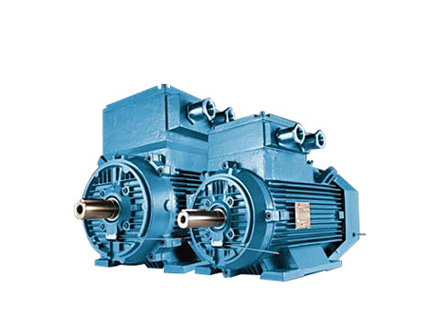 低压粉尘防爆IE2电机